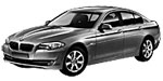 BMW F10 P333B Fault Code